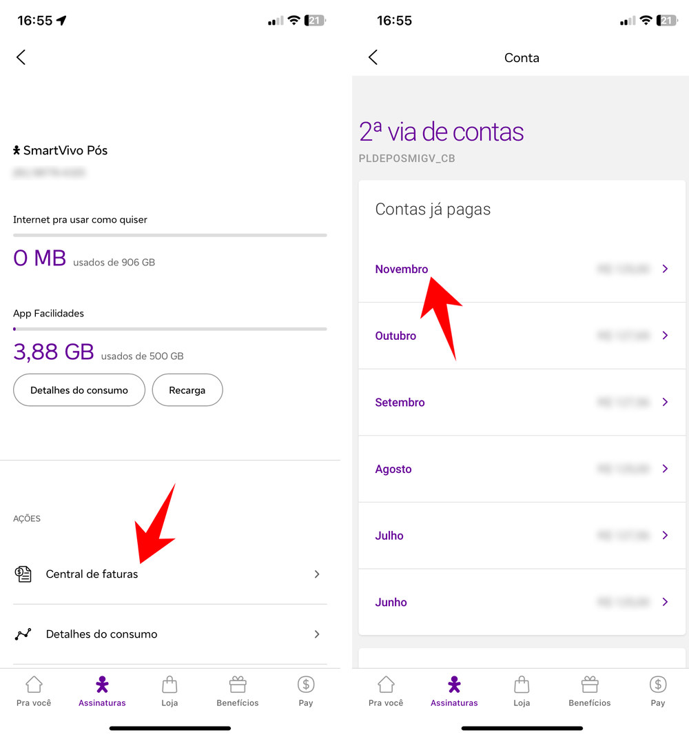 Vivo Numero Internet