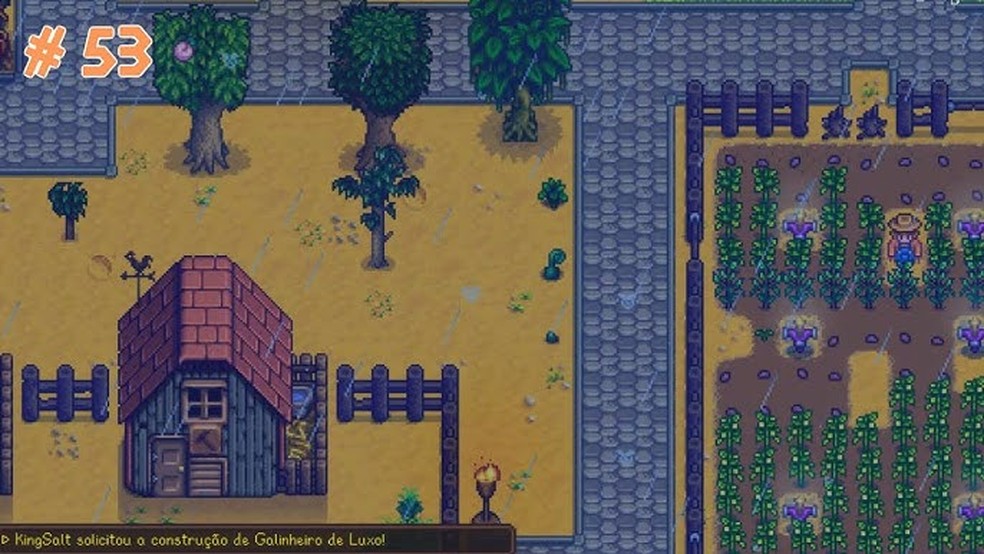  Reprodução/KingSalt