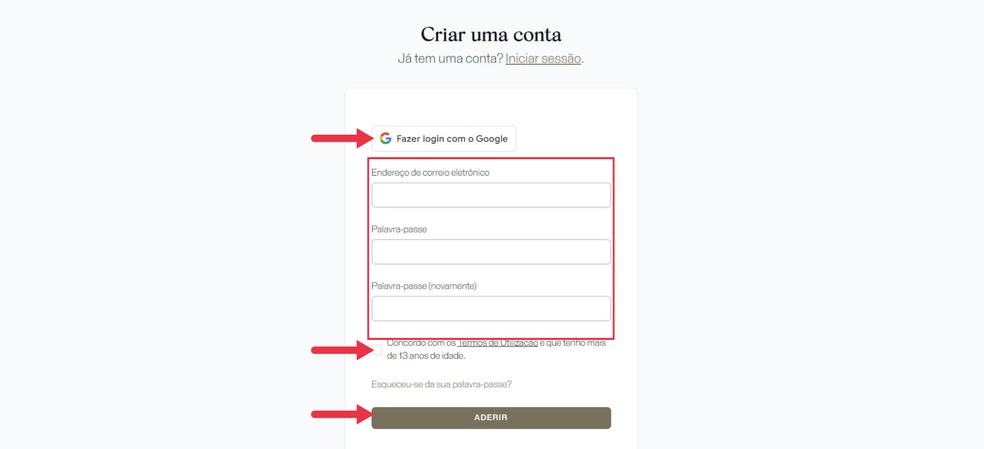 Insira um e-mail e senha ou faça login com o Google — Foto: Reprodução/Juliana Villarinho