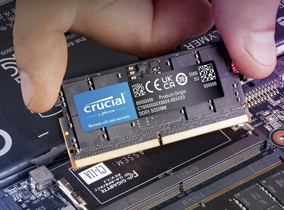  Reprodução Crucial