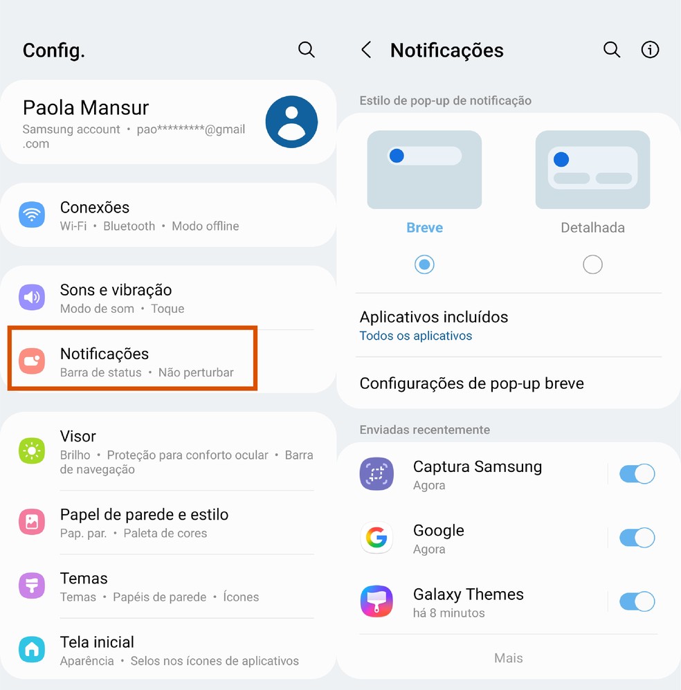  Reprodução/Paola Mansur