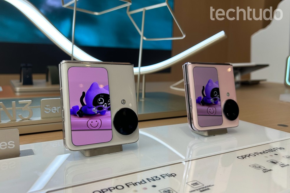  Brigida Nogueira/TechTudo