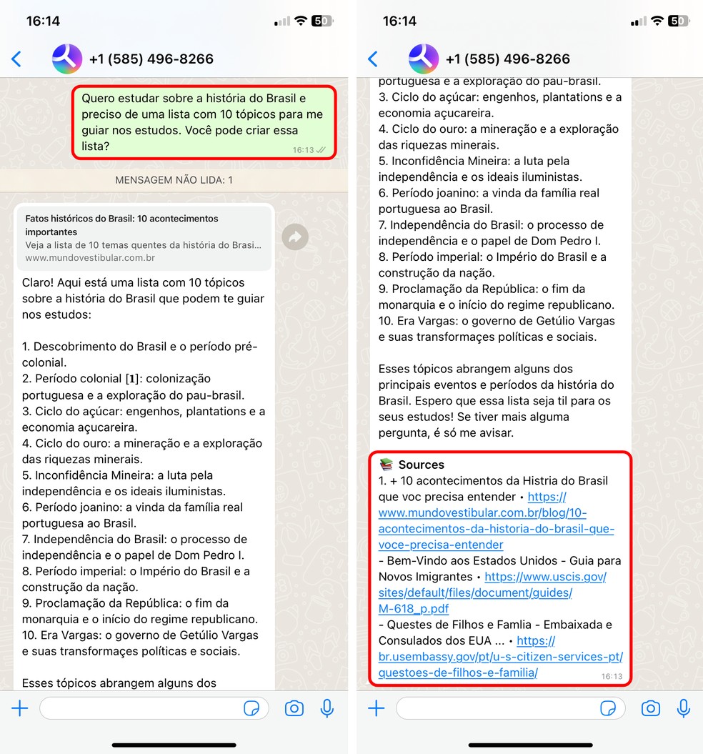 Inteligência artificial no WhatsApp: You.com mostra links de referência usados nas respostas — Foto: Reprodução/Rodrigo Fernandes