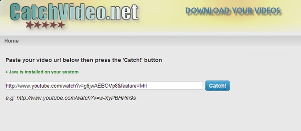 CatchVideo é simples de usar e permite download tamv´m de vídeos do Dailymotion  — Foto: Reprodução/Paulo Alves