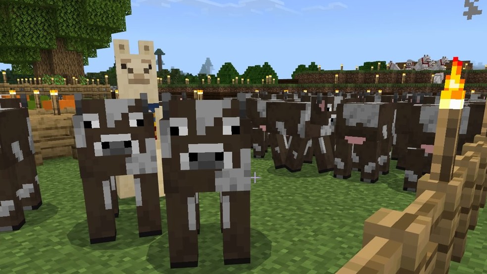  Reprodução/Rafael Monteiro