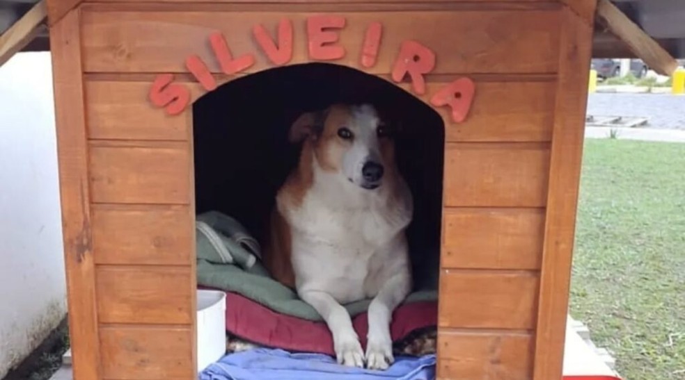  Reprodução/Instagram