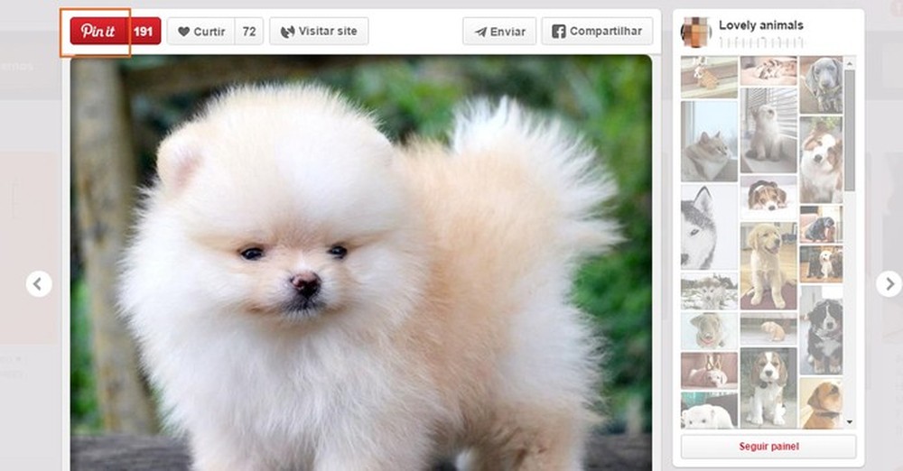 Pinterest: como usar o botão Pin It
