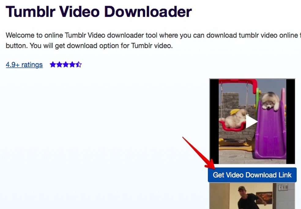 Tumblr Video Downloader - Download tumblr Video