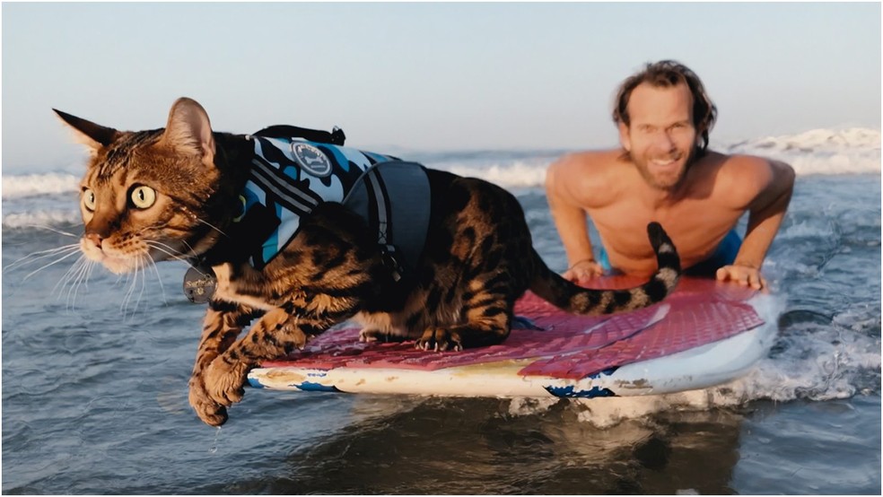  Divulgação/Disney+