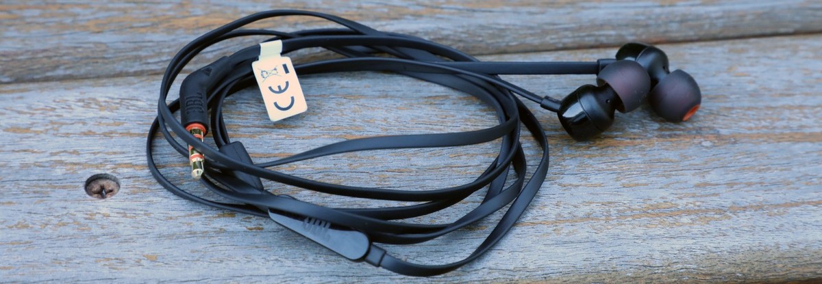 Review jbl t110 clearance