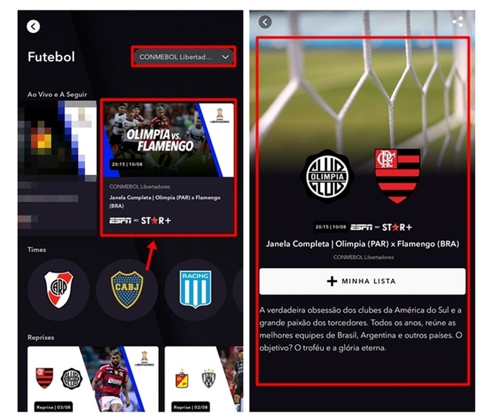 Olimpia x Flamengo: onde assistir e horário do jogo pela Libertadores
