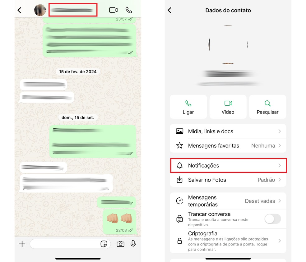 Acesse a conversa com o contato, clique no nome dele e depois em "Notificações" — Foto: Reprodução/Bruno Guerra