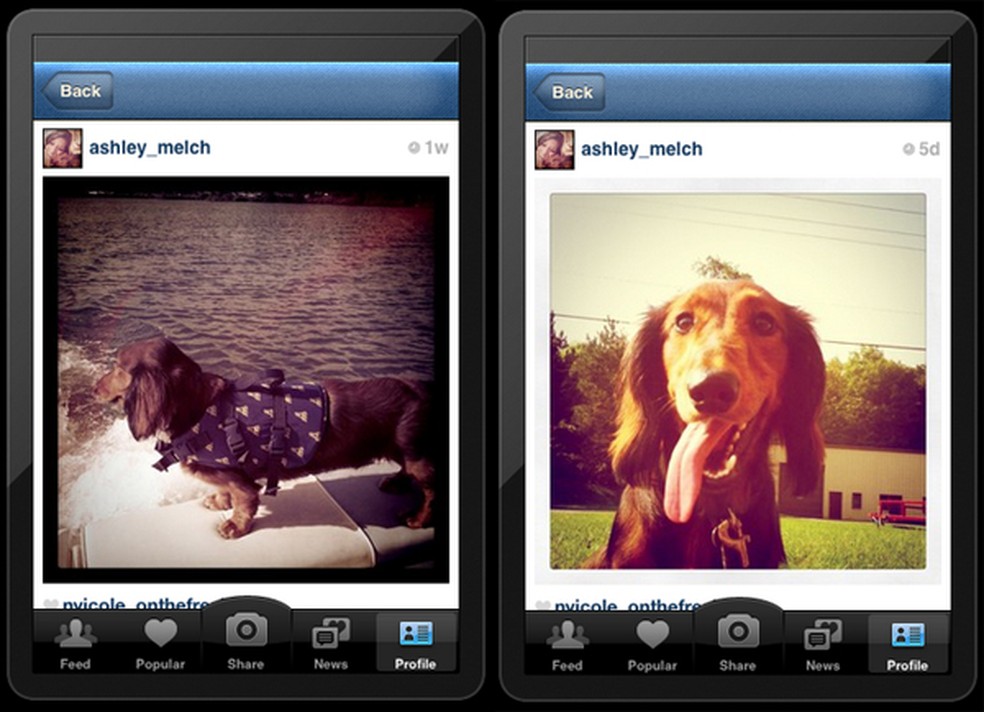 Fotos do Instagram fazem sucesso por conta de seus filtros (Foto: Reprodução) (Foto: Fotos do Instagram fazem sucesso por conta de seus filtros (Foto: Reprodução)) — Foto: TechTudo