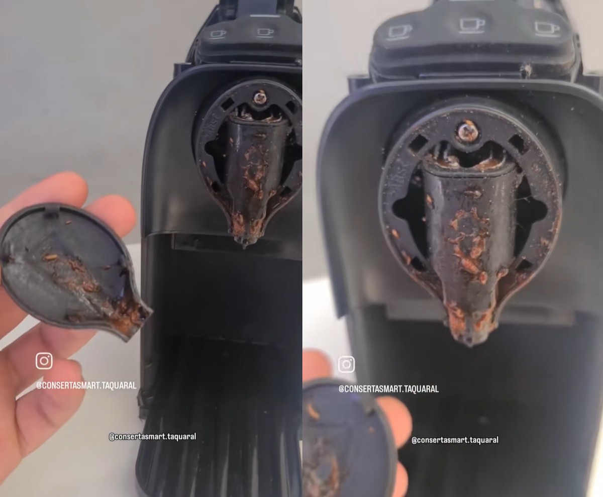Viral mostra cafeteira de cápsula INFESTADA de larvas; veja como evitar