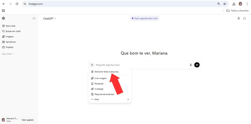  Reprodução/Mariana Tralback