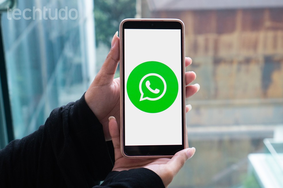 WhatsApp não baixa PDF? Entenda erro e veja possíveis soluções — Foto: Laura Storino/TechTudo