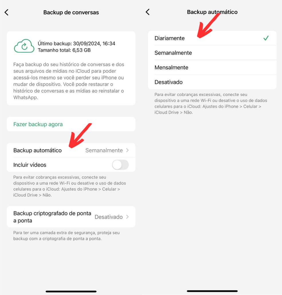 Ativando o backup automático do WhatsApp no celular — Foto: Reprodução/Clara Fabro