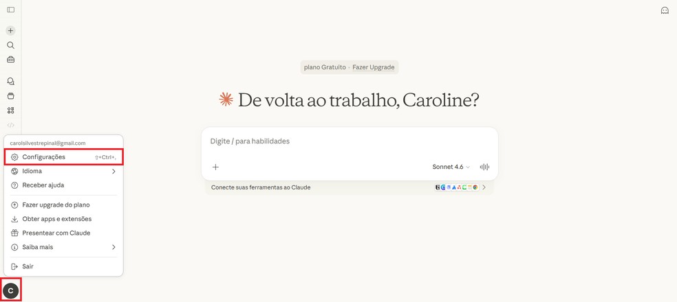  Reprodução/Caroline Silvestre