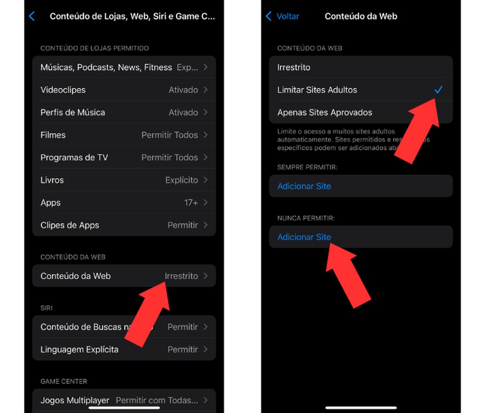 Após realizar a configuração, conteúdo de sites adultos será limitado automaticamente — Foto: Reprodução/Mariana Tralback