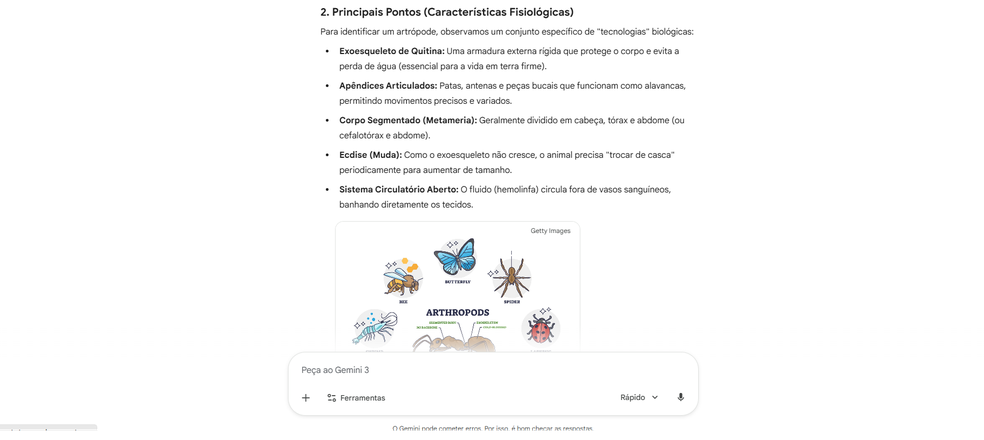  Reprodução/Gisele Veríssimo