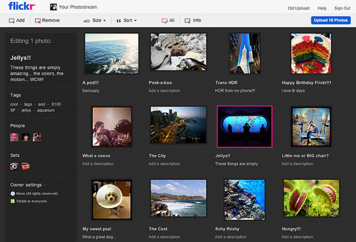 Flickr. Flickr Интерфейс. Flickr что это за программа. Fliker похрдие приложения.