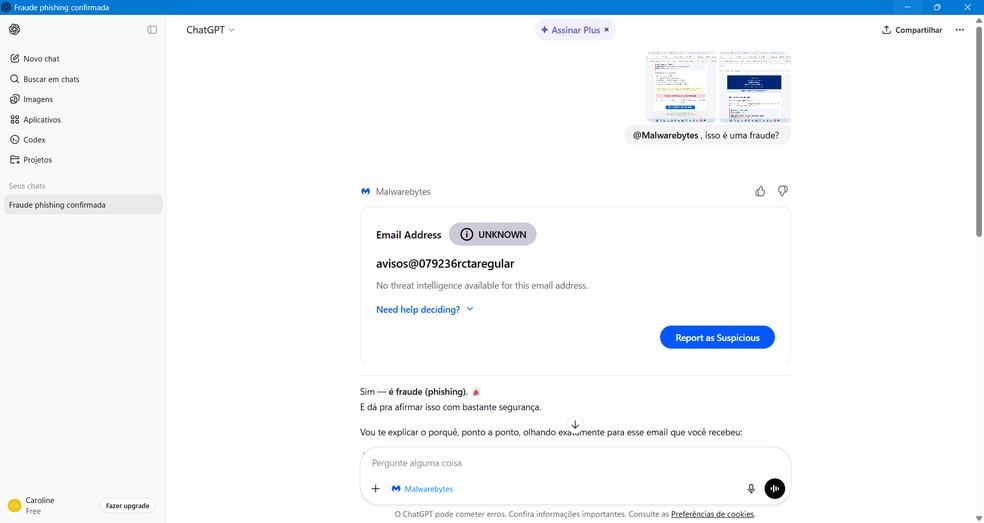  Reprodução/Caroline Silvestre