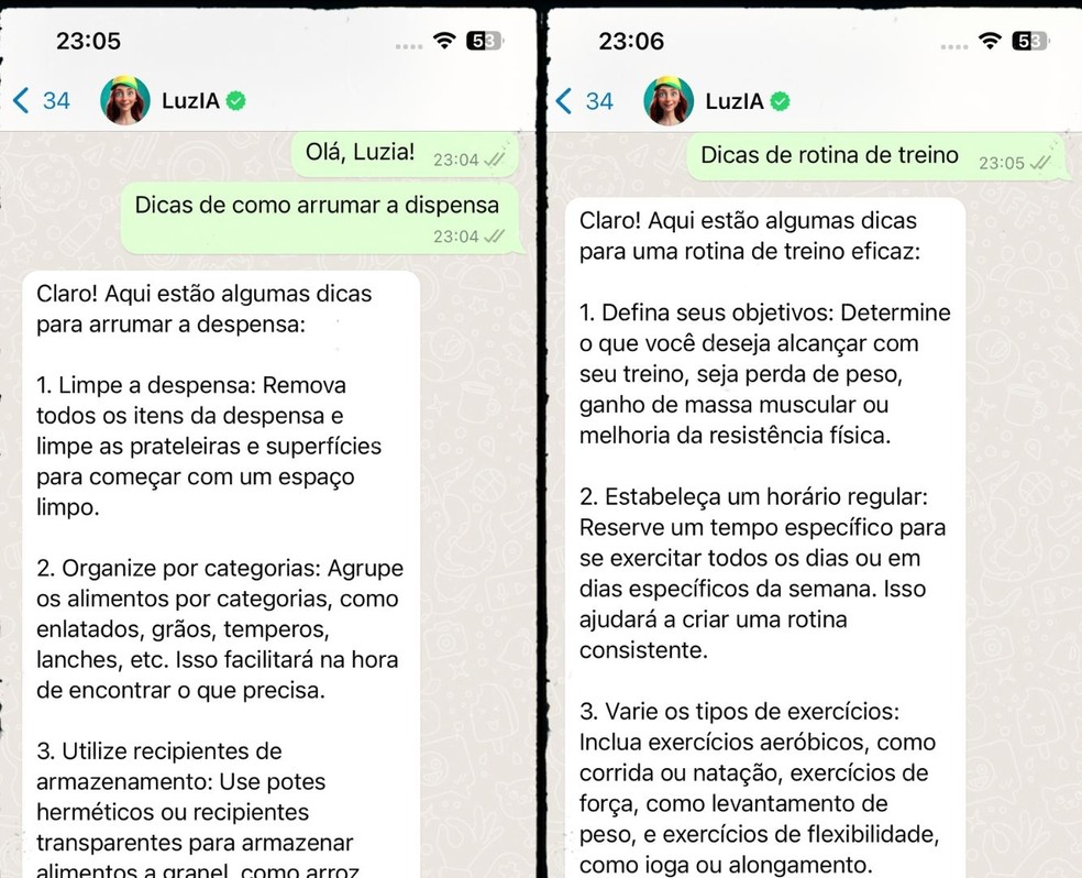 É possível organizar tarefas rotineiras com a Luzia, inteligência artificial do WhatsApp — Foto: Reprodução/Gisele Souza