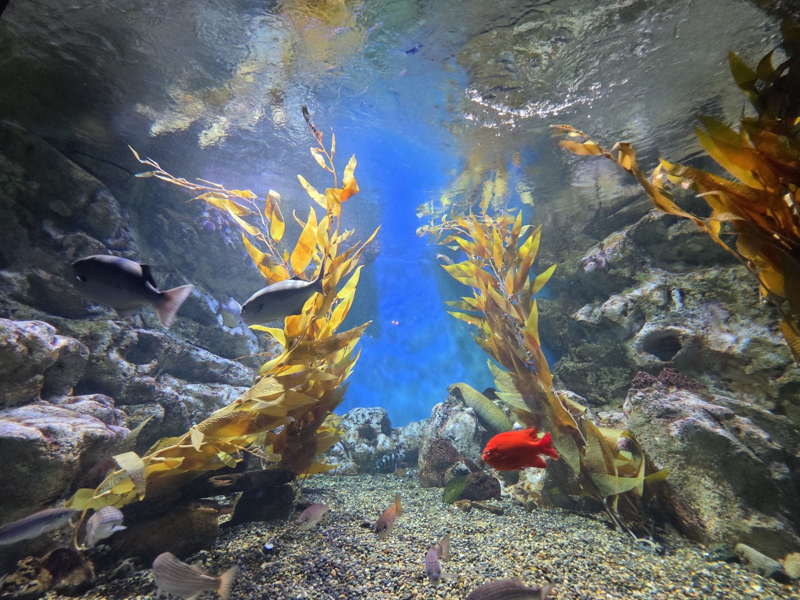  Ana Letícia Loubak/TechTudo