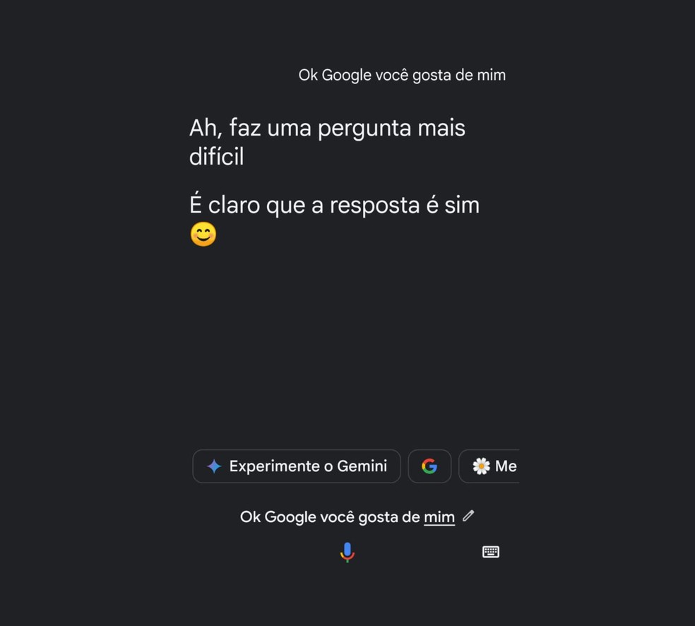 "Ok, Google, você gosta de mim?": Comando pergunta ao ajudante virtual se ele gosta do usuário. — Foto: Beatriz Abilio/TechTudo