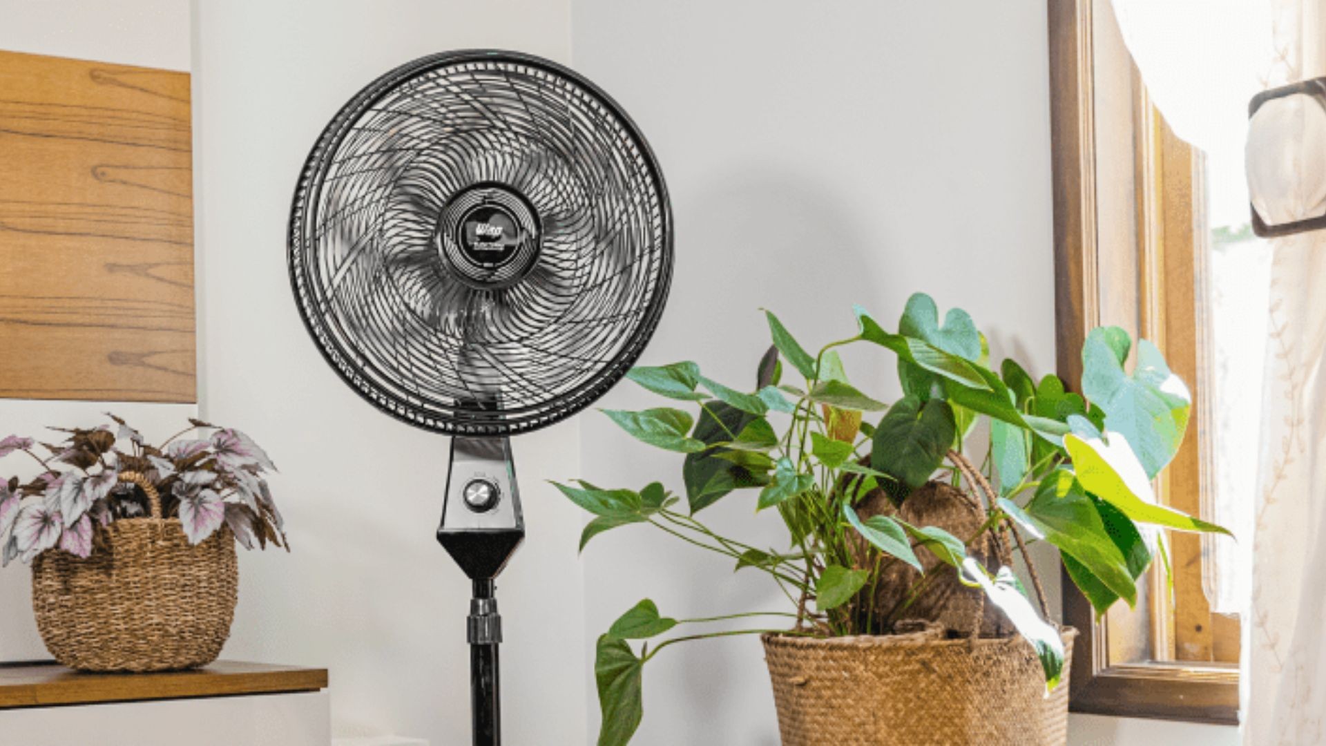 Vilões do ventilador: 7 coisas que atrapalham a ação do aparelho