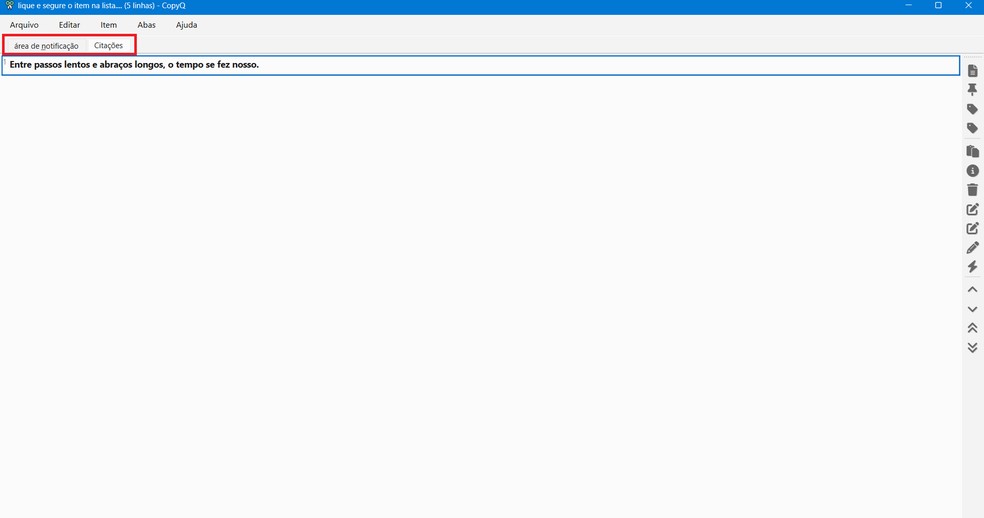  Reprodução/Caroline Silvestre