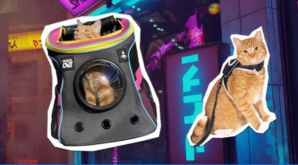 Stray  Jogo protagonizado por gato é lançado para PS4, PS5 e PC