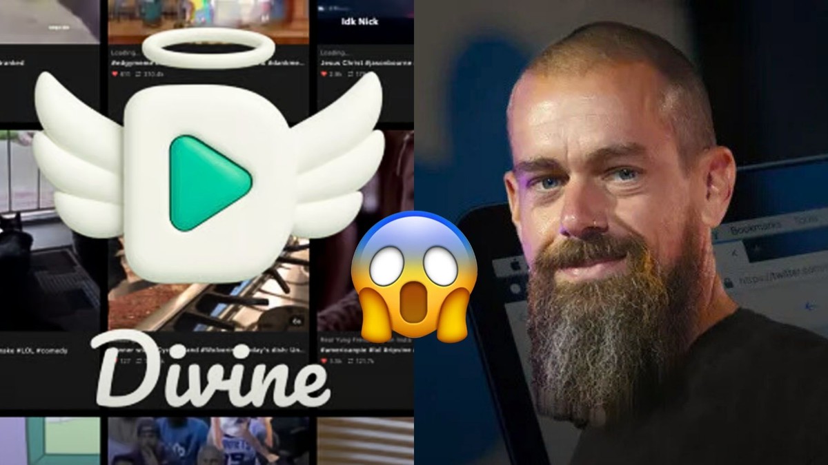 Vine vai voltar? Ex-CEO do Twitter tenta 'ressuscitar' rede; relembre