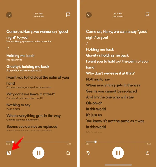 Como ver a tradução da letra da música no Spotify - Canaltech