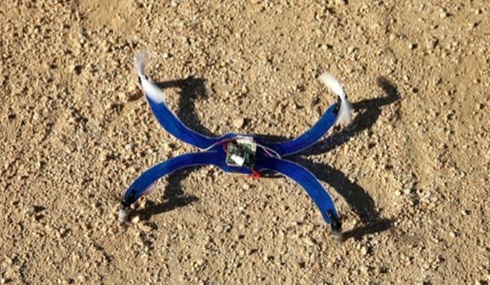 Nixie discount drone amazon