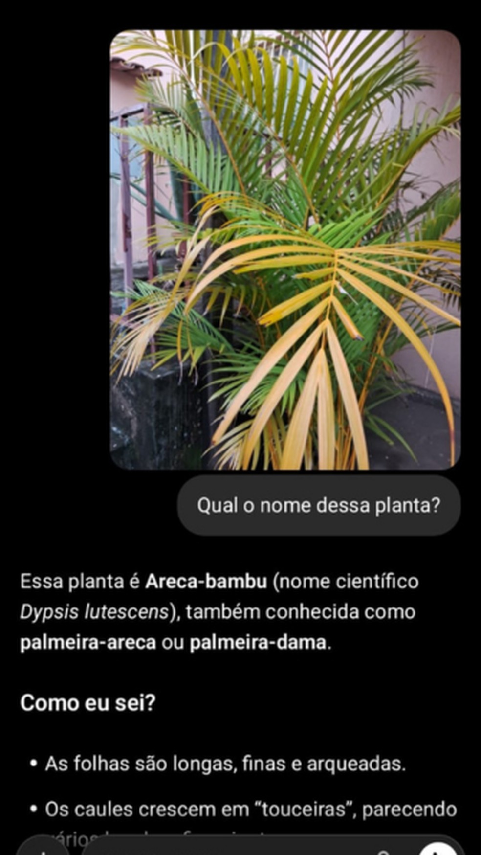  Sheila Silva/TechTudo