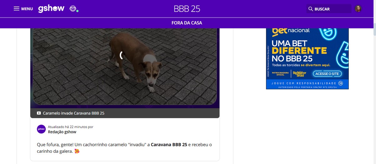 BBB 25: que horas os participantes entram na casa? Saiba acompanhar