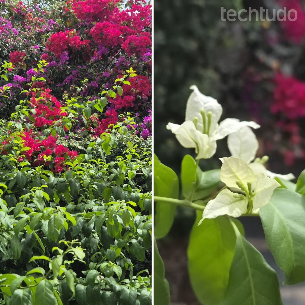  Katarina Bandeira/TechTudo