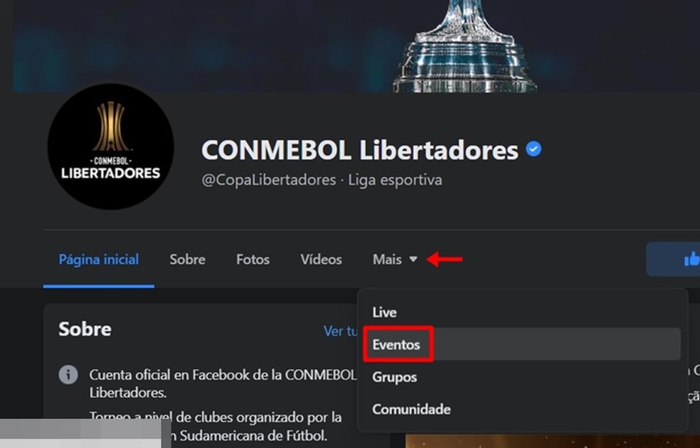 Ao clicar na aba "Mais", usuário tem acesso ao menu de eventos ao vivo da página da Conmebol no Facebook — Foto: Reprodução/Gabriela Andrade
