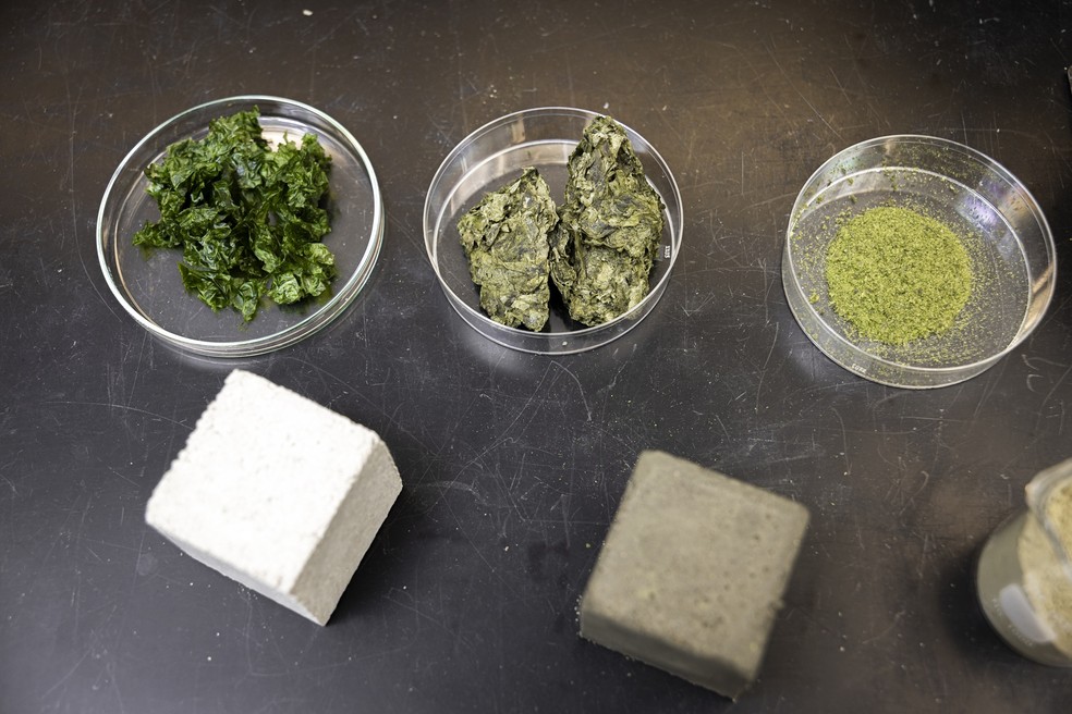  Reprodução/Microsoft