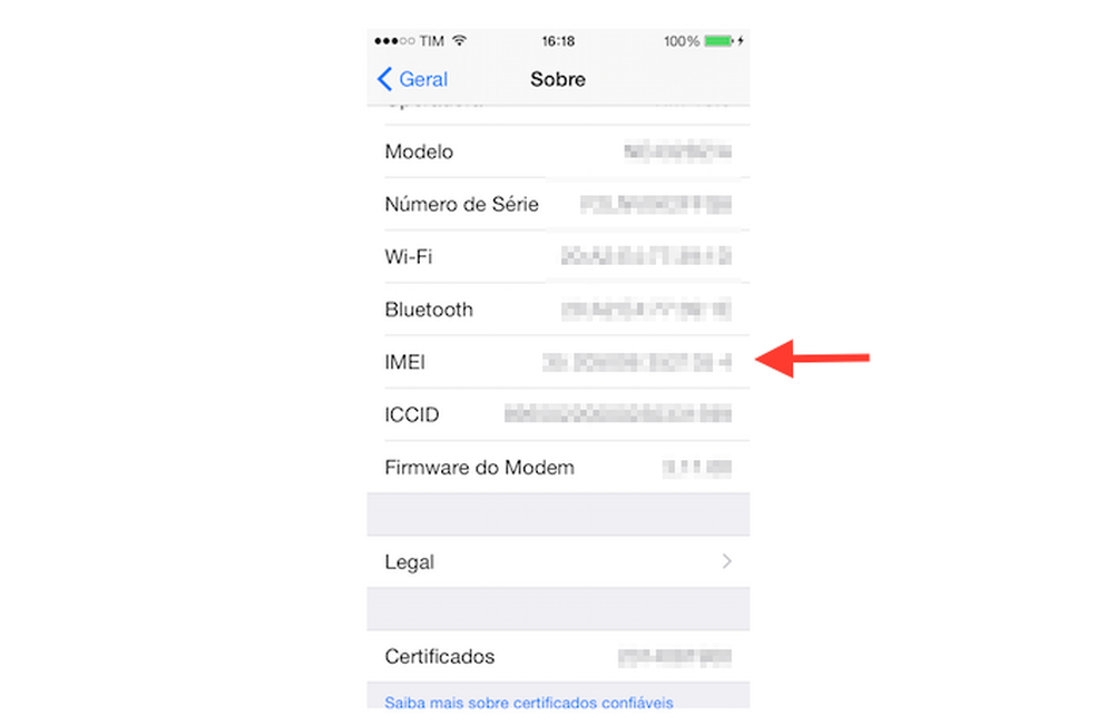 Verificando o IMEI de um dispositivo iOS através das configurações do sistema — Foto: Reprodução/Marvin Costa