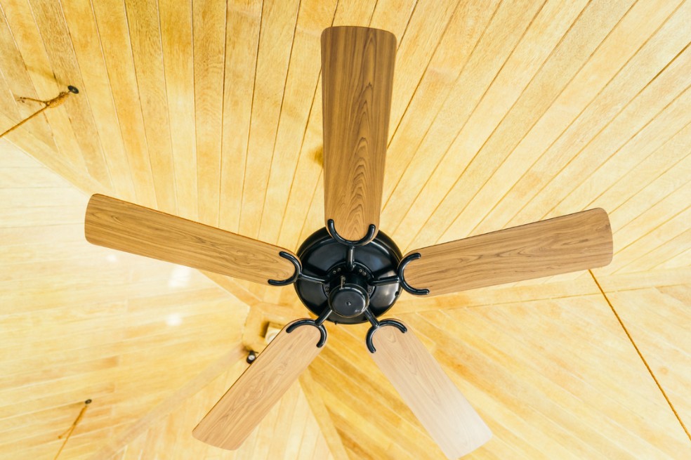  Reprodução/Freepik