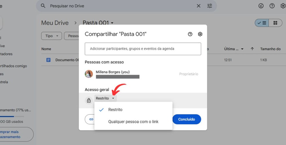 Reprodução/Millena Borges