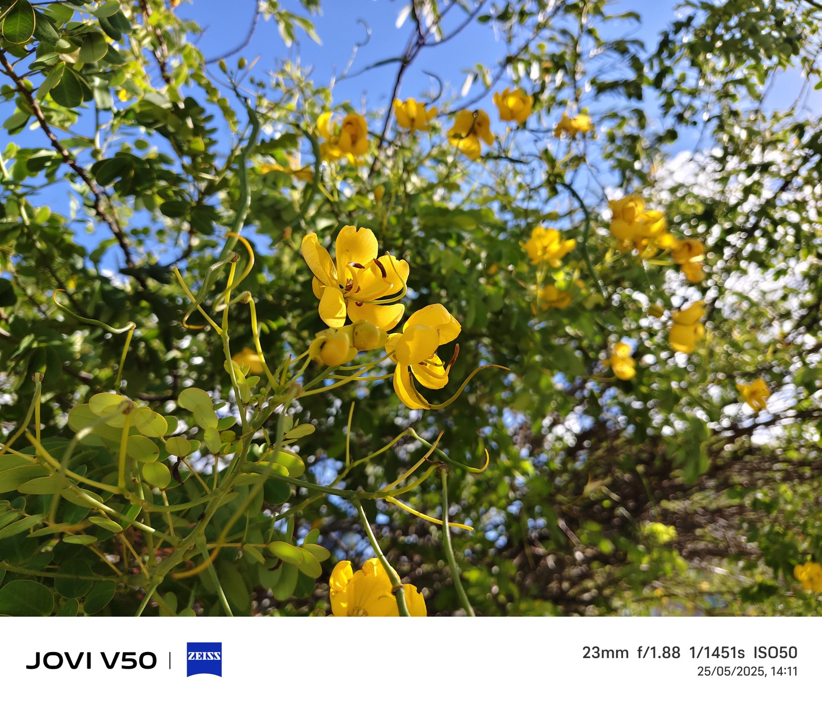  Ana Letícia Loubak/TechTudo