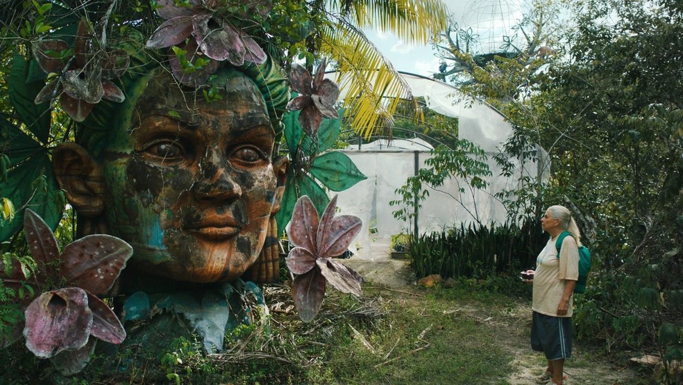  Reprodução/The Movie Database