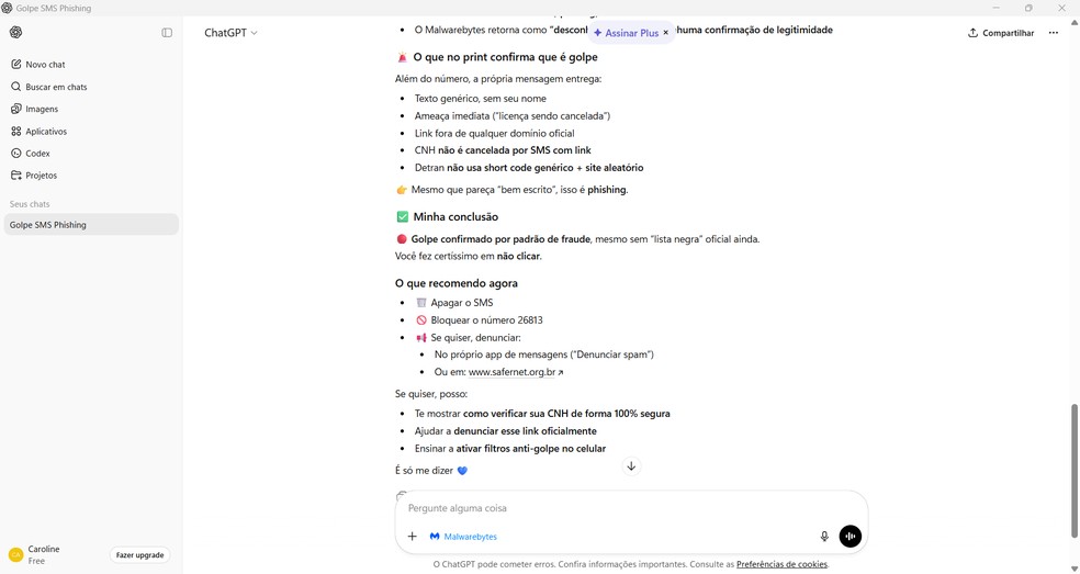  Reprodução/Caroline Silvestre