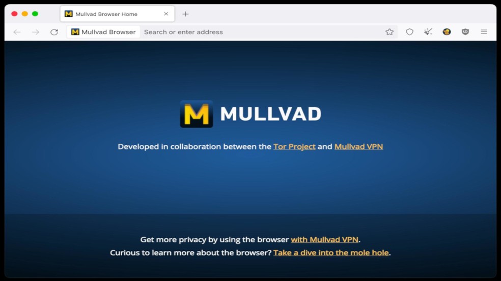 Mullvad offers three levels of security for browsing — Photo: Reproduction/Tech Radar