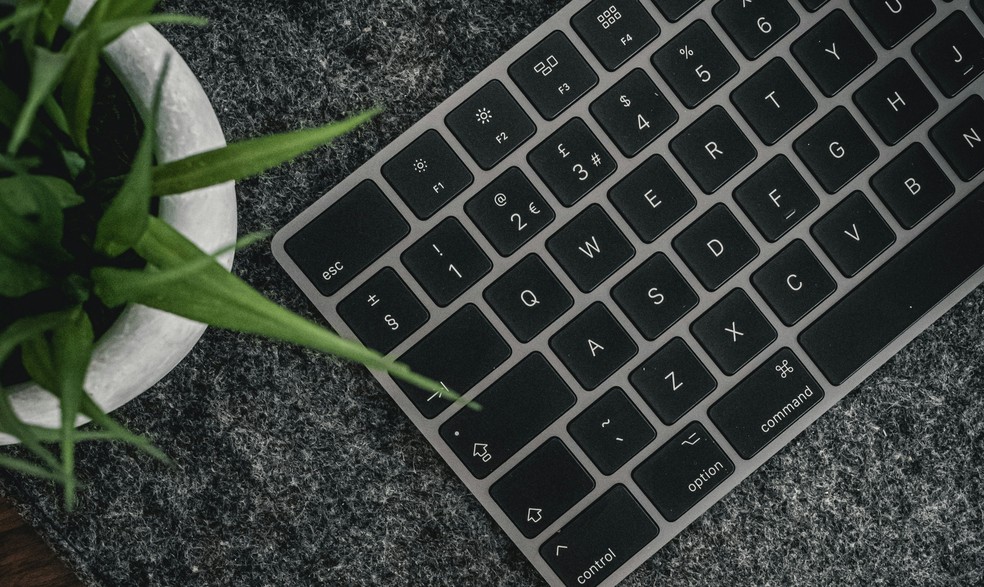  Reprodução/Unsplash/Scott Gummerson