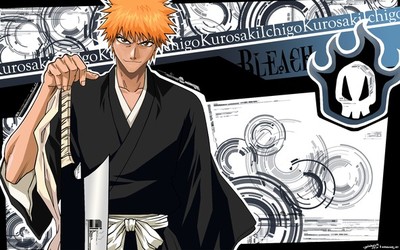 Uma Pergunta sobre Bleach