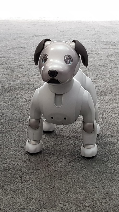 Aibo | Hardware | TechTudo